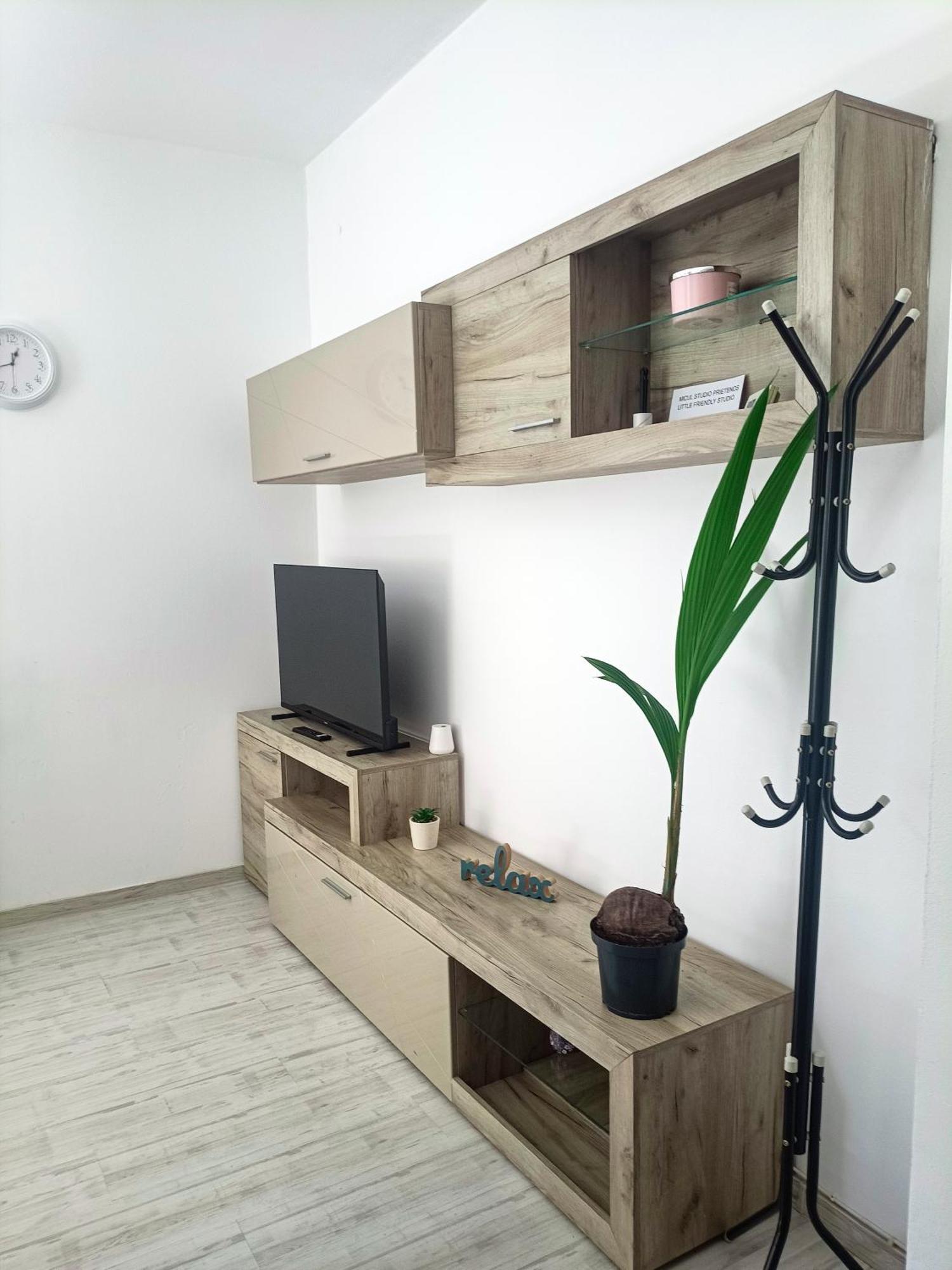 Friendly Little Studio Braşov Dış mekan fotoğraf