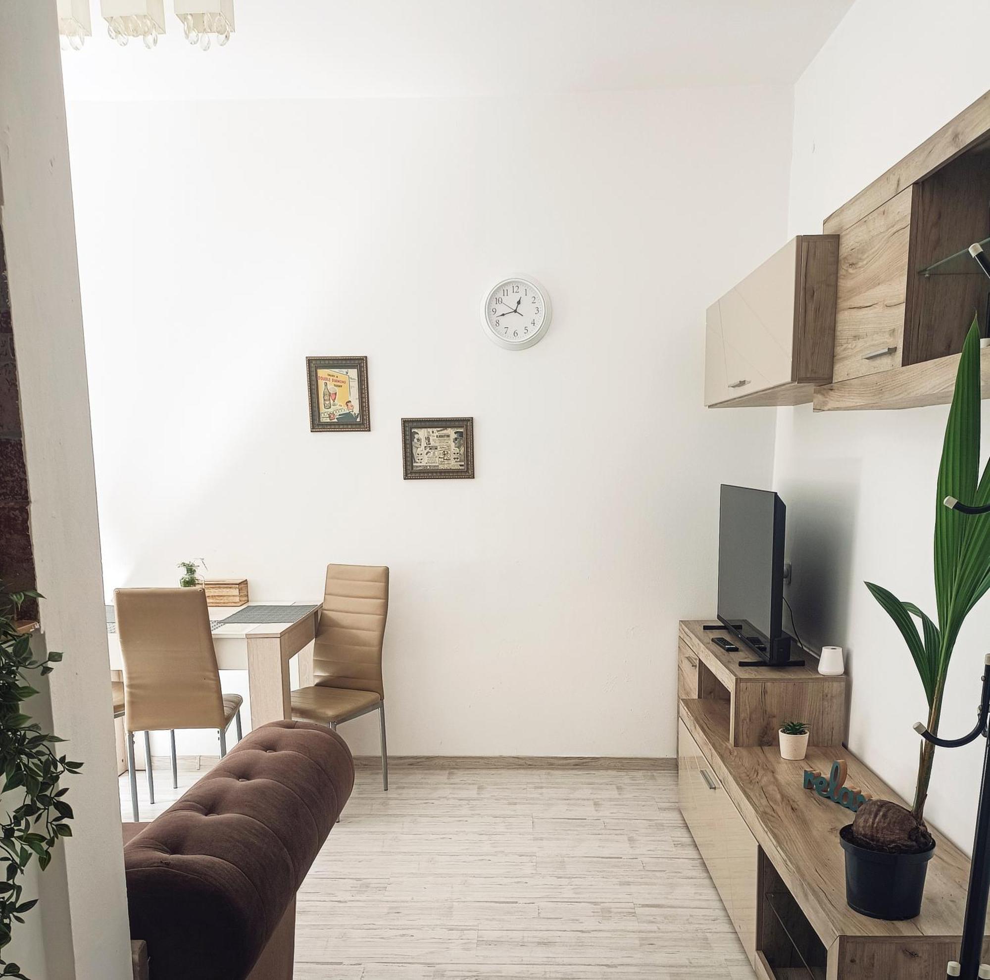 Friendly Little Studio Braşov Dış mekan fotoğraf